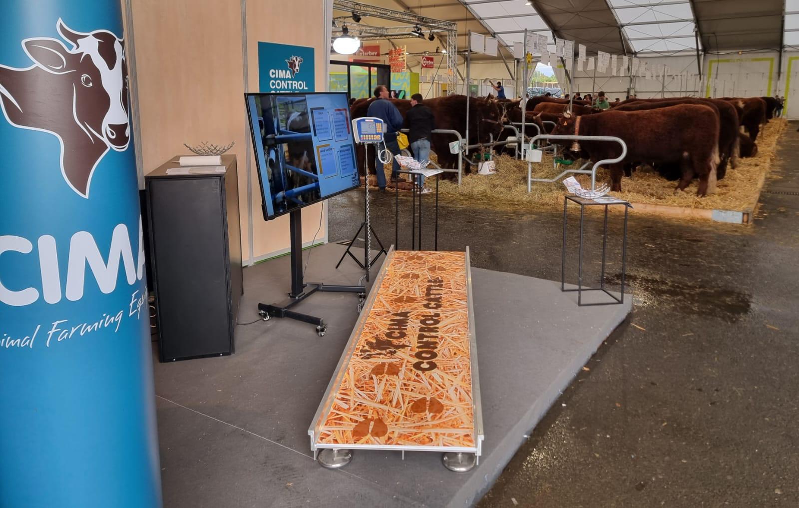 Localizzatore GPS Bovini